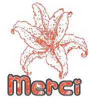 merci a sofi